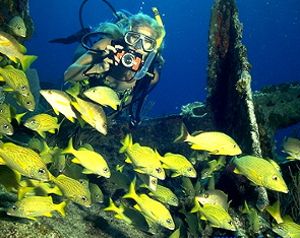 Live-aboard dive trip